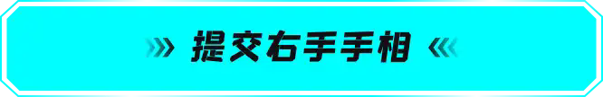 提交右手手相